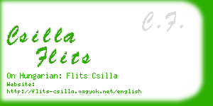 csilla flits business card